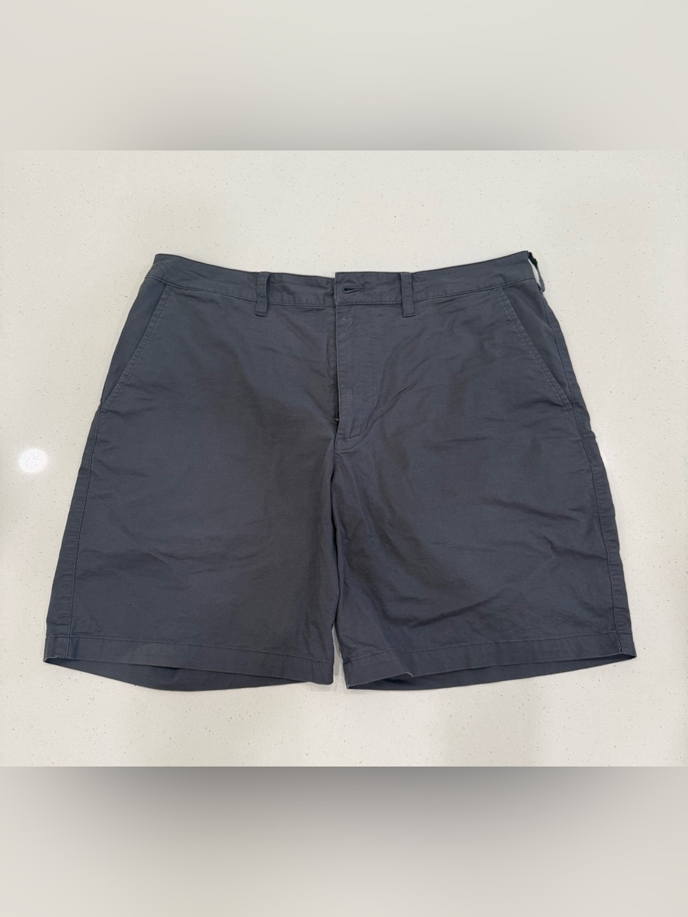 Patagonia Men's Flat-Front Shorts - Dark Blue